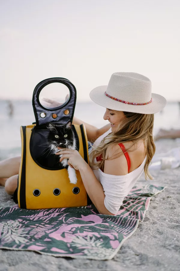 young-woman-with-cat-backpack-seashore-travel-concept-with-pet